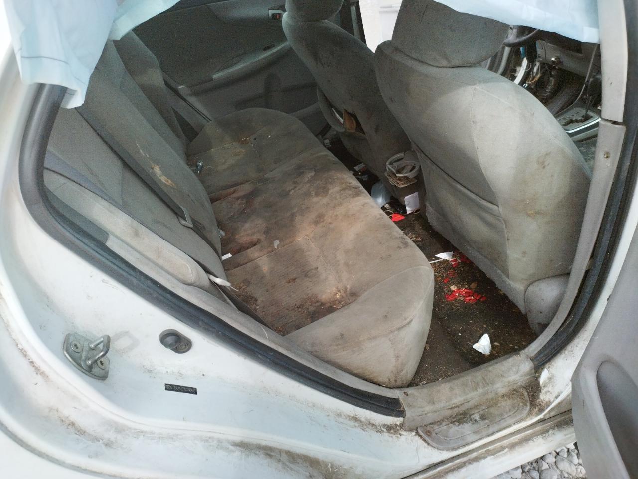 Photo 6 from auction – 2010 TOYOTA COR with VIN 2T1BU4EE7AC310453