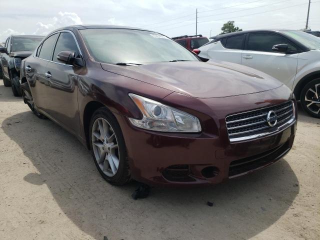 Photo 3 from auction – 2010 NISSAN MAXIMA S with VIN 1N4AA5AP4AC848379