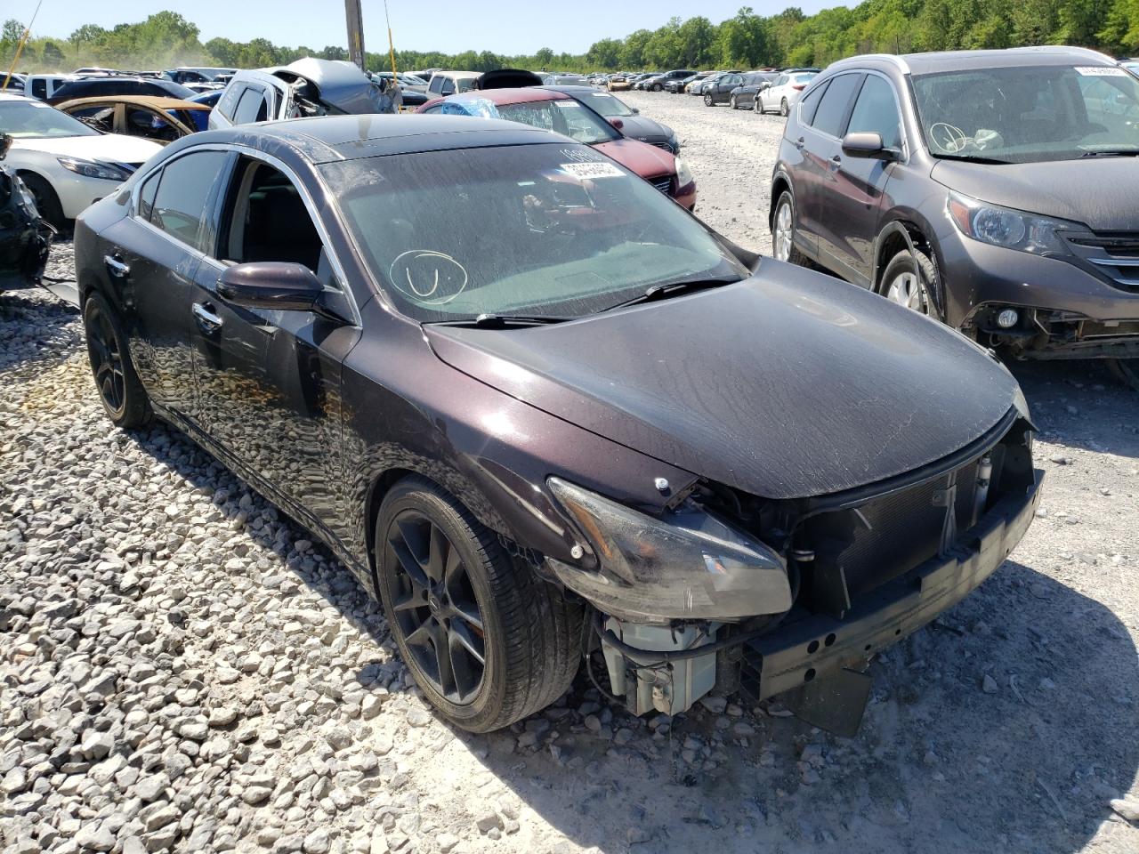 NISSAN MAXIMA S 2010 with VIN 1N4AA5AP6AC874773 - Photo from auction