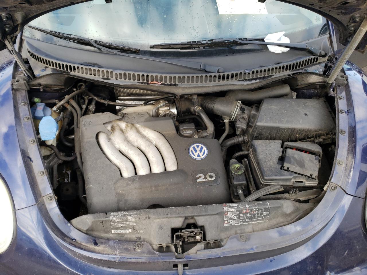 Photo 7 from auction – 2002 VOLKSWAGEN NEW BEETLE with VIN 3VWCB21C72M453993