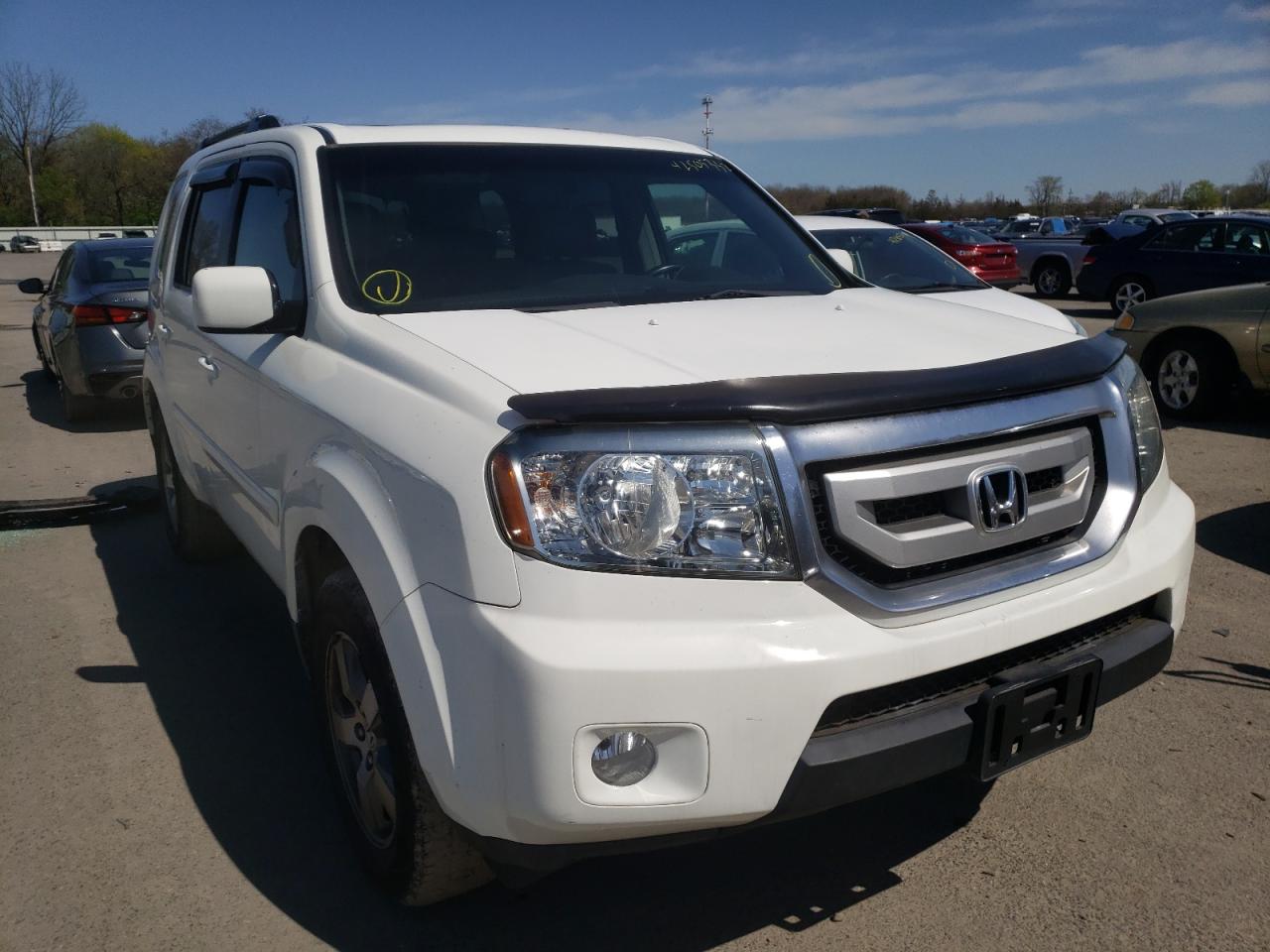 HONDA PILOT EXL 2009 with VIN 5FNYF48599B055991 - Photo from auction