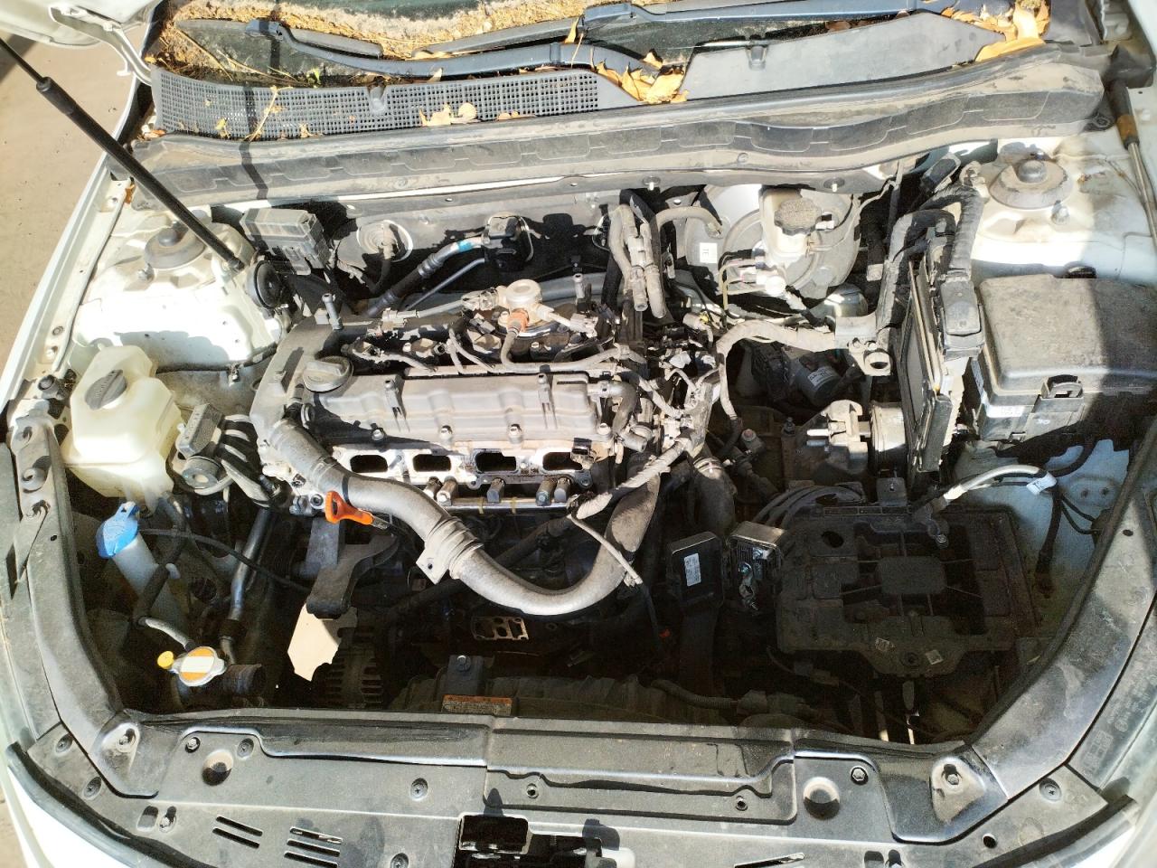 Photo 7 from auction – 2011 KIA OPTIMA EX with VIN KNAGN4A77B5055891
