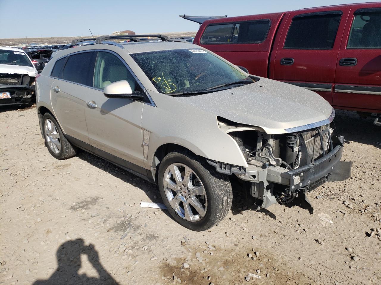 CADILLAC SRX PERFOR 2011 with VIN 3GYFNEEY7BS585253 - Photo from auction