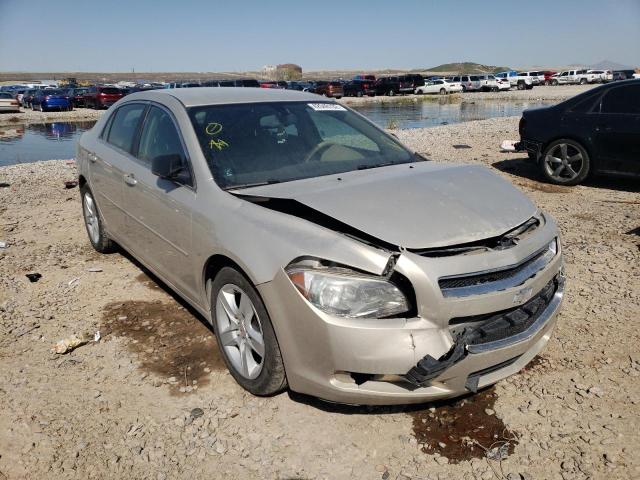 CHEVROLET MALIBU LS 2010 with VIN 1G1ZB5EBXAF296550 - Photo from auction