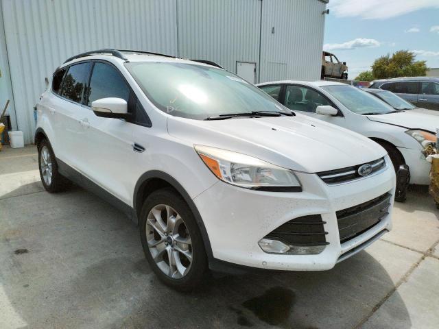 FORD ESCAPE SEL 2013 with VIN 1FMCU0HX1DUB15641 - Photo from auction