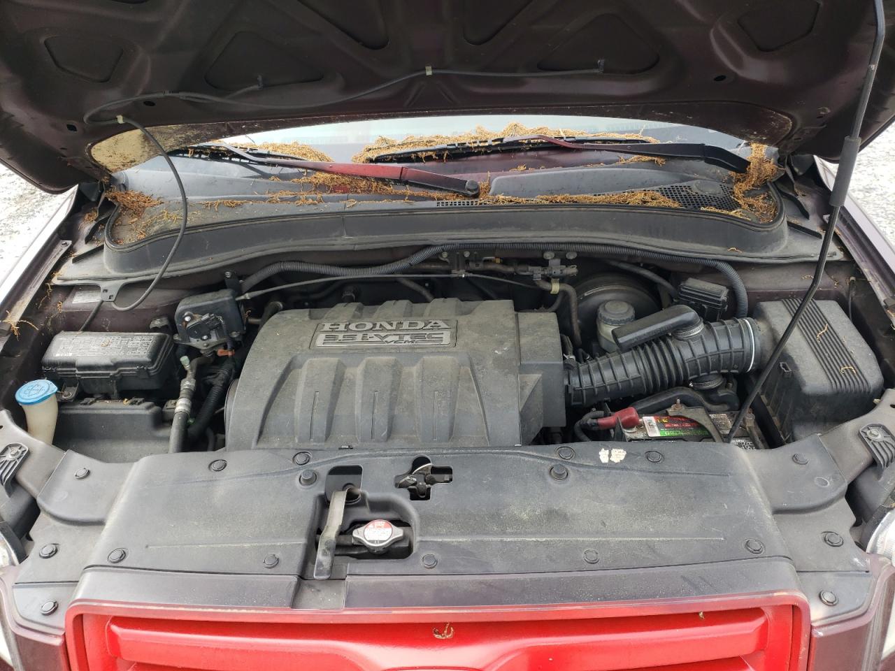 Zdjęcie 7 z aukcji – 2007 HONDA PILOT EXL z VIN 5FNYF28747B024960