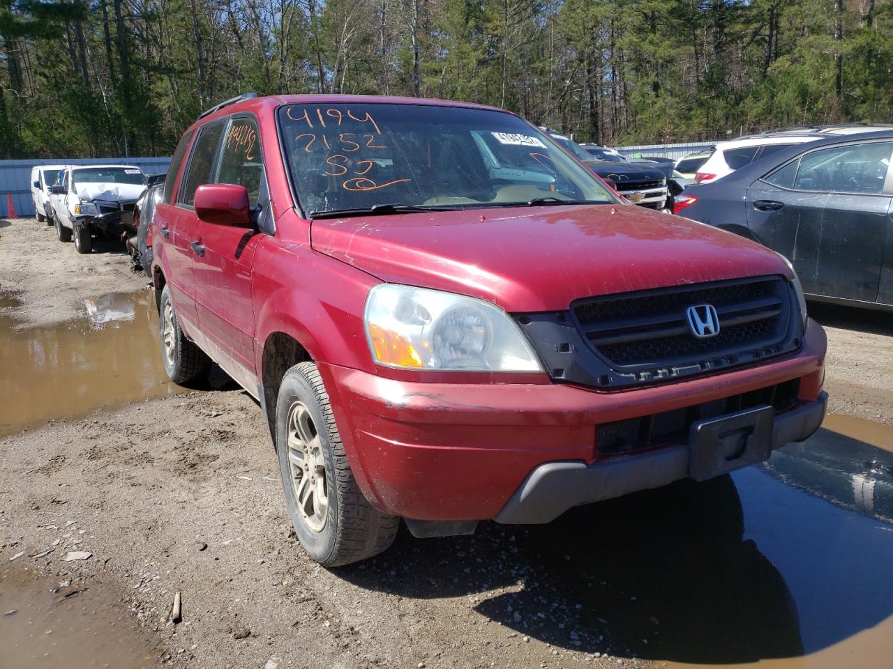 HONDA PILOT EXL 2004 with VIN 2HKYF18594H511397 - Photo from auction