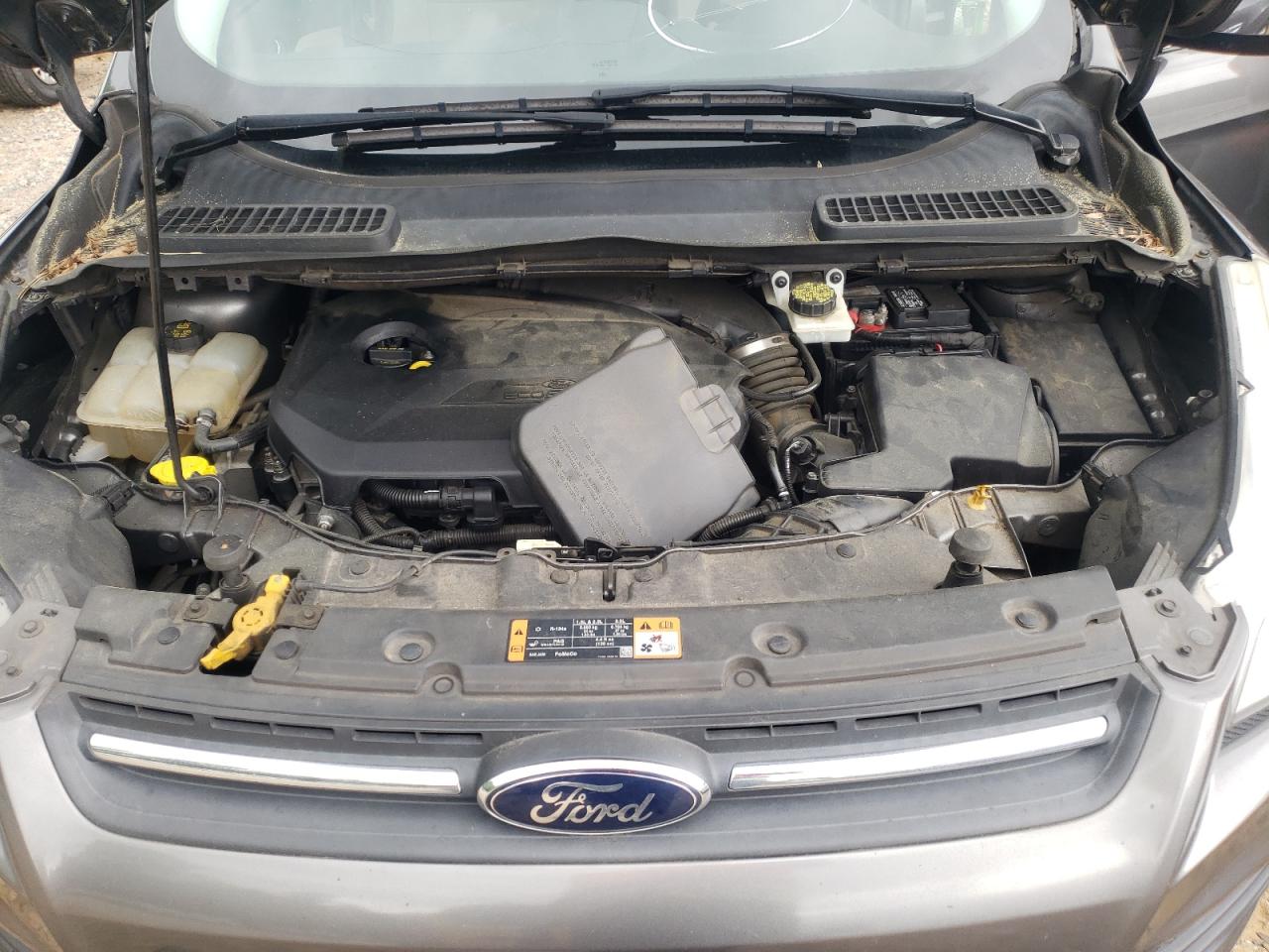 Photo 7 from auction – 2014 FORD ESCAPE SE with VIN 1FMCU0GX8EUB65326