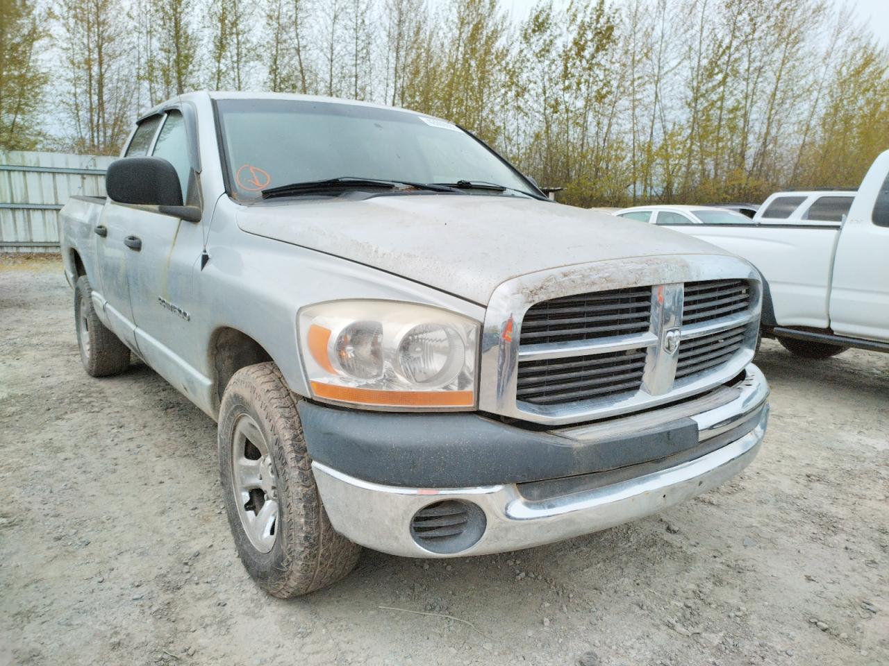DODGE RAM 1500 S 2006 with VIN 1D7HA18K76J165810 - Photo from auction