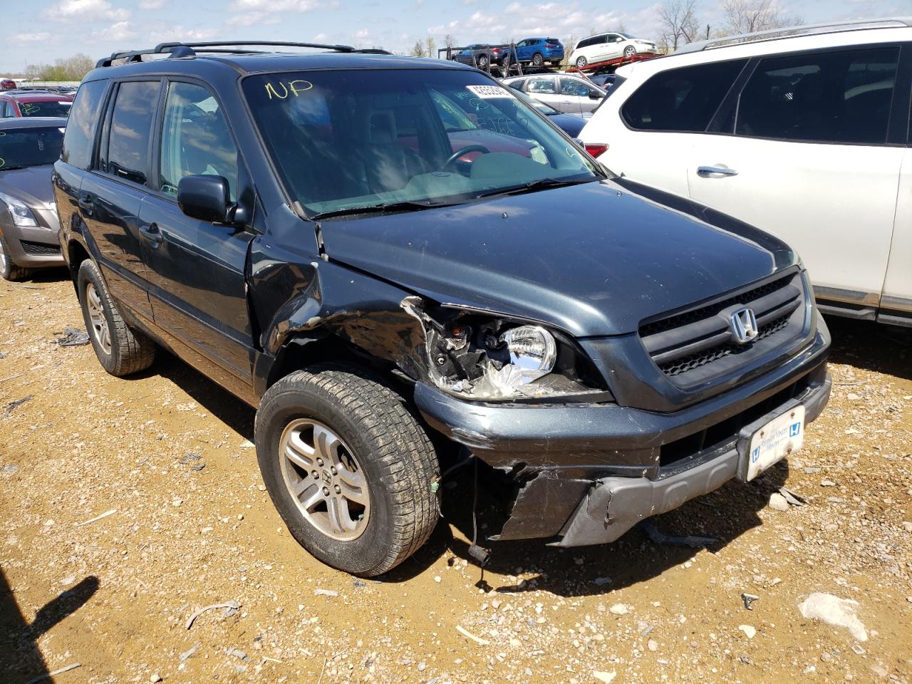 HONDA PILOT EX 2005 with VIN 5FNYF18665B012596 - Photo from auction