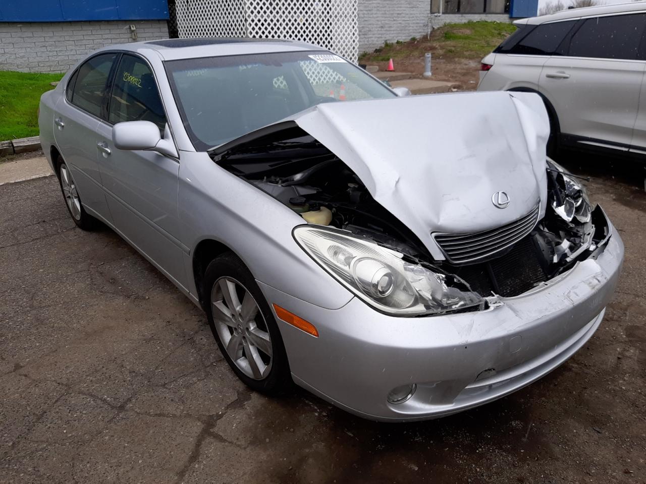 LEXUS ES 330 2005 with VIN JTHBA30G055127439 - Photo from auction