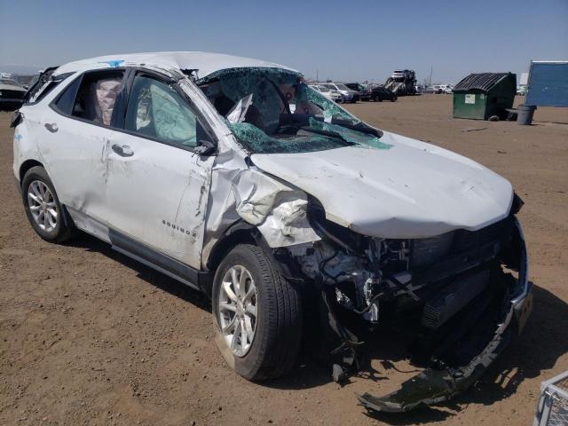 CHEVROLET EQUINOX LS 2019 with VIN 2GNAXSEV1K6252566 - Photo from auction