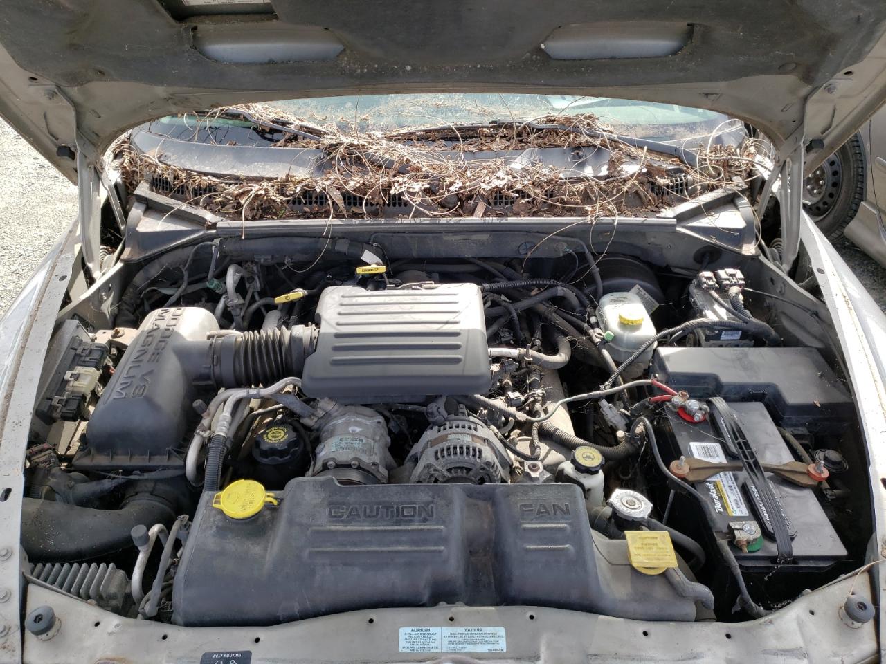 Photo 7 from auction – 2001 DODGE DURANGO with VIN 1B4HS28N01F540890