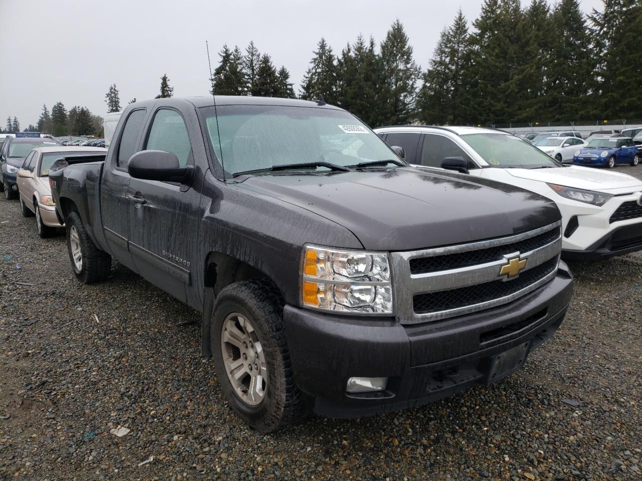 CHEVROLET SILVERADO 2011 with VIN 1GCRKTE37BZ233510 - Photo from auction