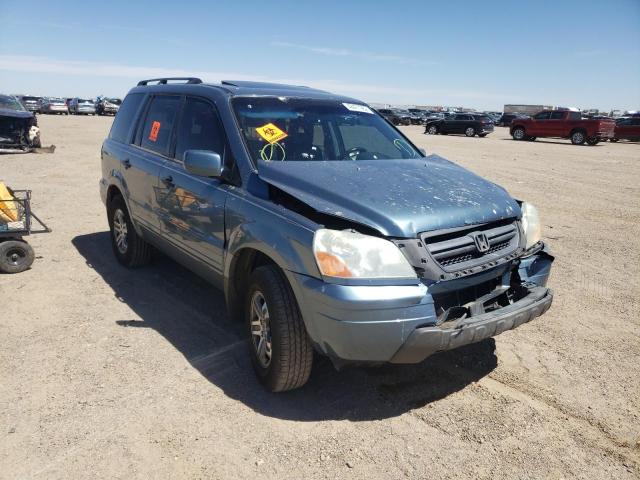 HONDA PILOT EXL 2005 with VIN 5FNYF18535B036667 - Photo from auction
