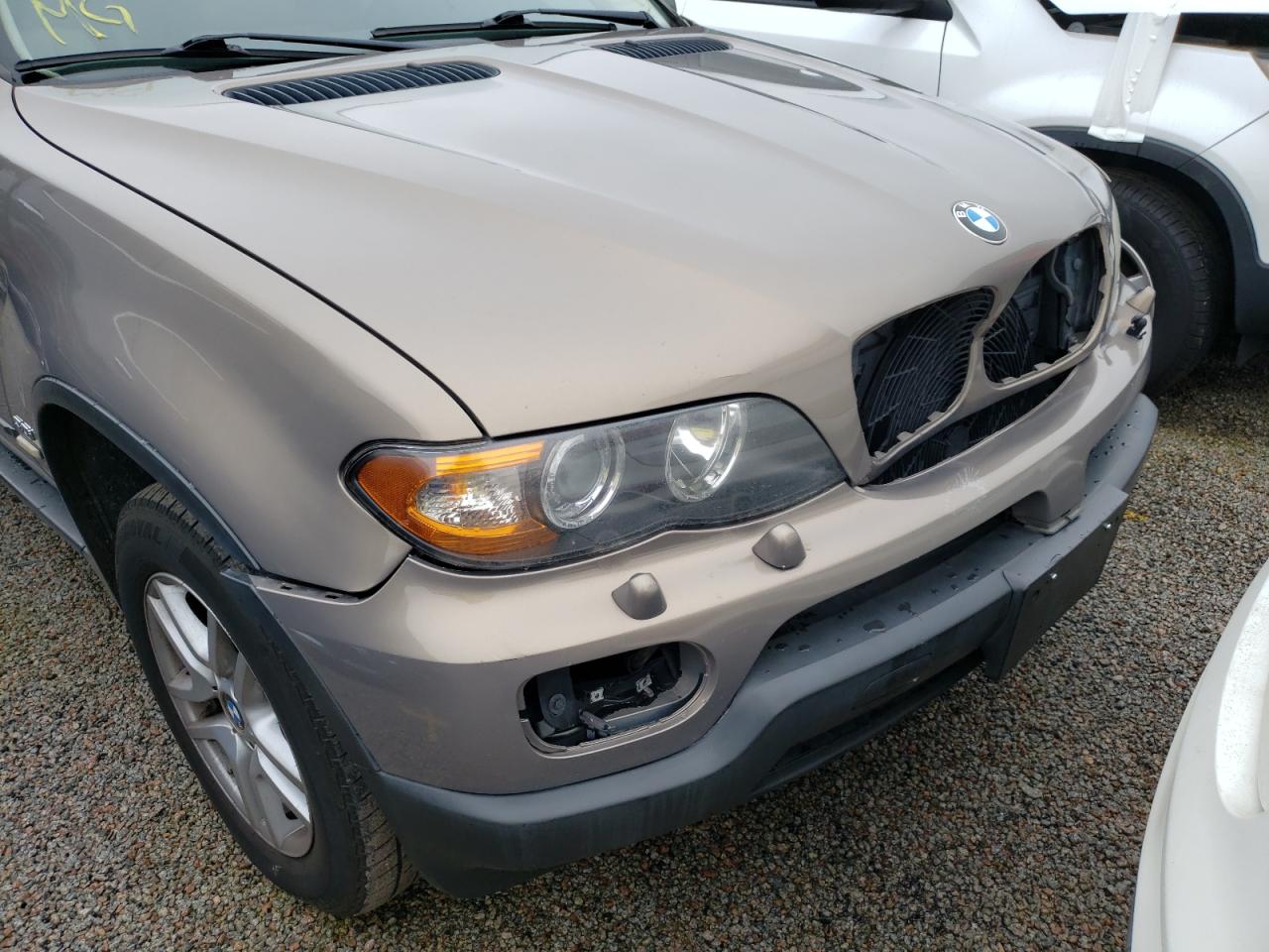 Photo 10 from auction – 2005 BMW X5 3.0I with VIN 5UXFA13525LY00453