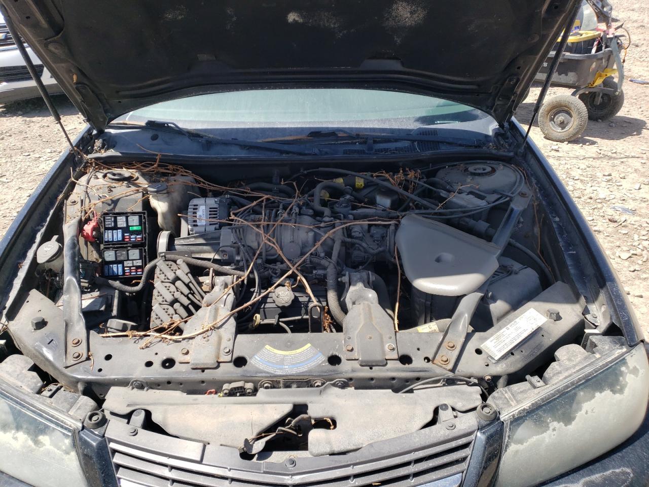 Photo 7 from auction – 2004 CHEVROLET IMPALA SS with VIN 2G1WP551049216018