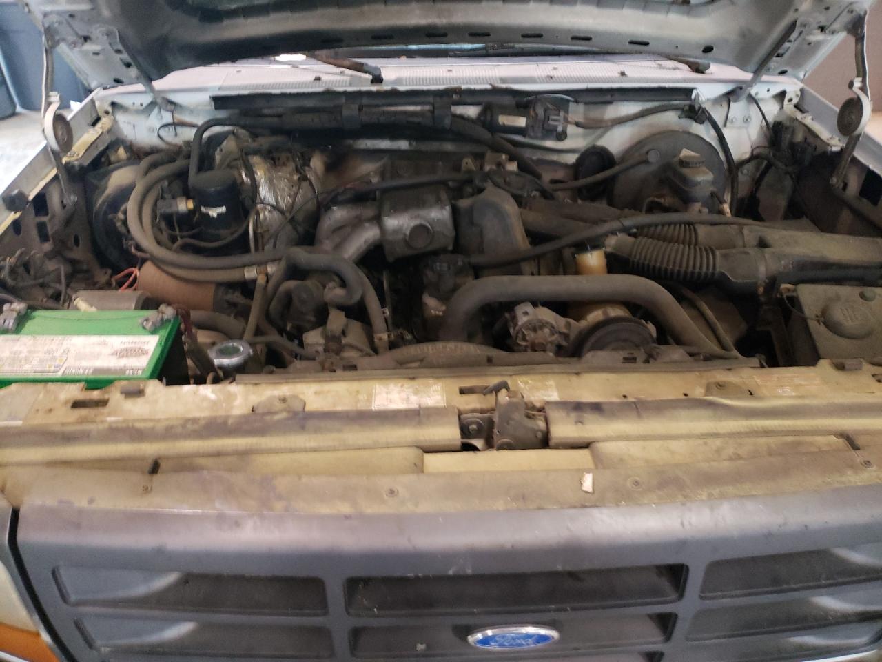 Photo 7 from auction – 1995 FORD F150 with VIN 1FTEF15Y7SNB12874