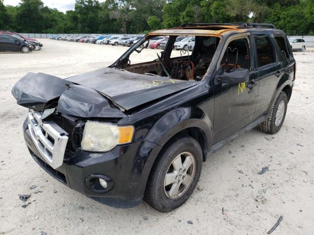 Photo 2 from auction – 2010 FORD ESCAPE XLT with VIN 1FMCU0DG5AKA03406