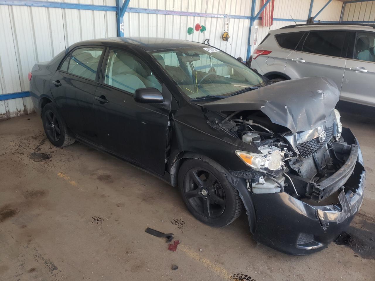 TOYOTA COROLLA 2009 with VIN 2T1BU40E29C123849 - Photo from auction