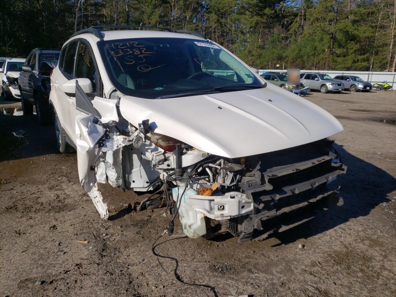 FORD ESCAPE SE 2013 with VIN 1FMCU0GX0DUC83143 - Photo from auction