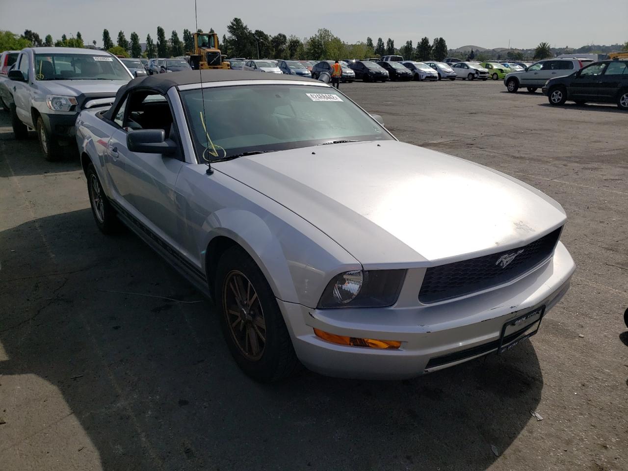 FORD MUSTANG 2005 with VIN 1ZVFT84N155257262 - Photo from auction