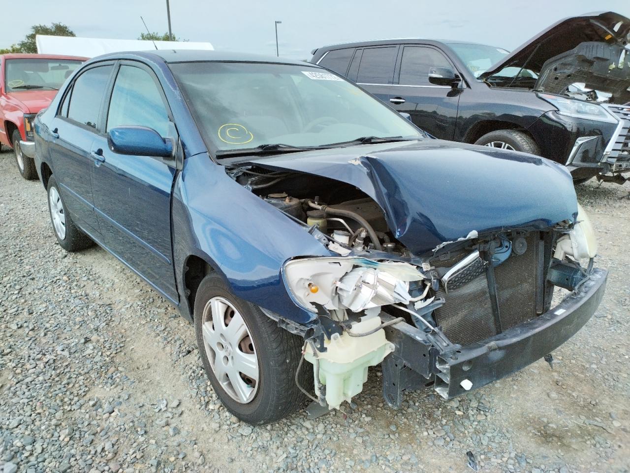 TOYOTA COROLLA CE 2005 with VIN 1NXBR32E75Z499495 - Photo from auction