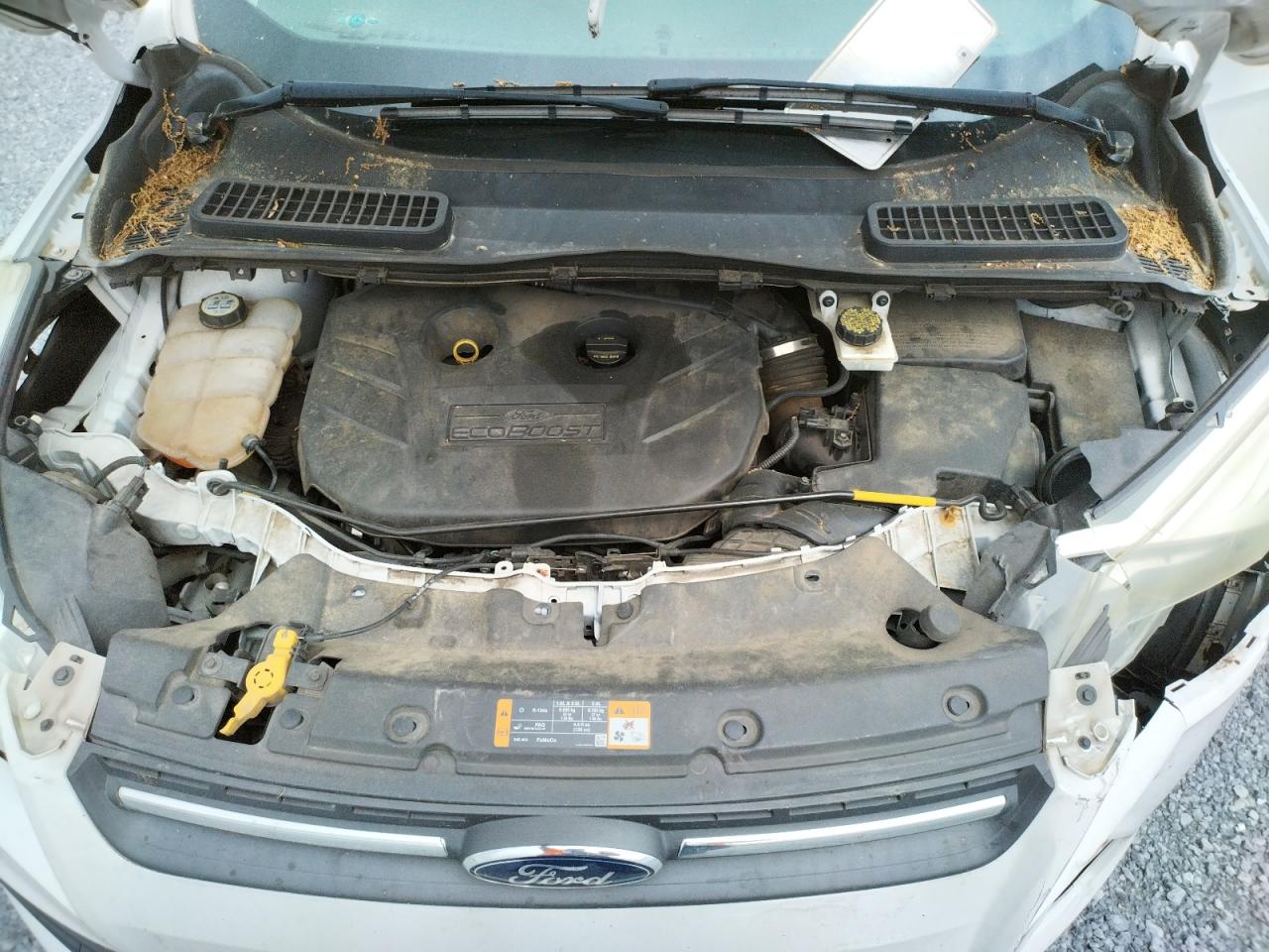 Photo 7 from auction – 2013 FORD ESCAPE SE with VIN 1FMCU0G92DUD75534