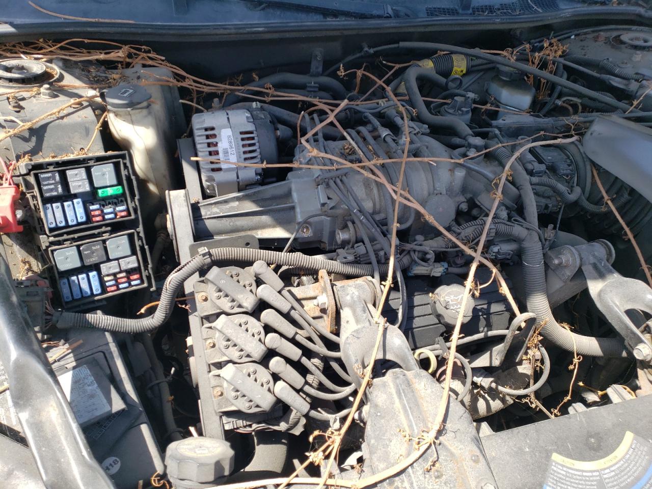 Photo 9 from auction – 2004 CHEVROLET IMPALA SS with VIN 2G1WP551049216018