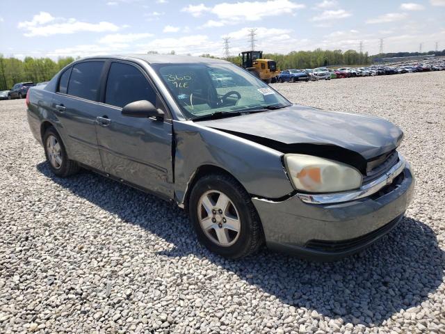 Photo 1 from auction – 2005 CHEVROLET MALIBU LS with VIN 1G1ZT528X5F336072