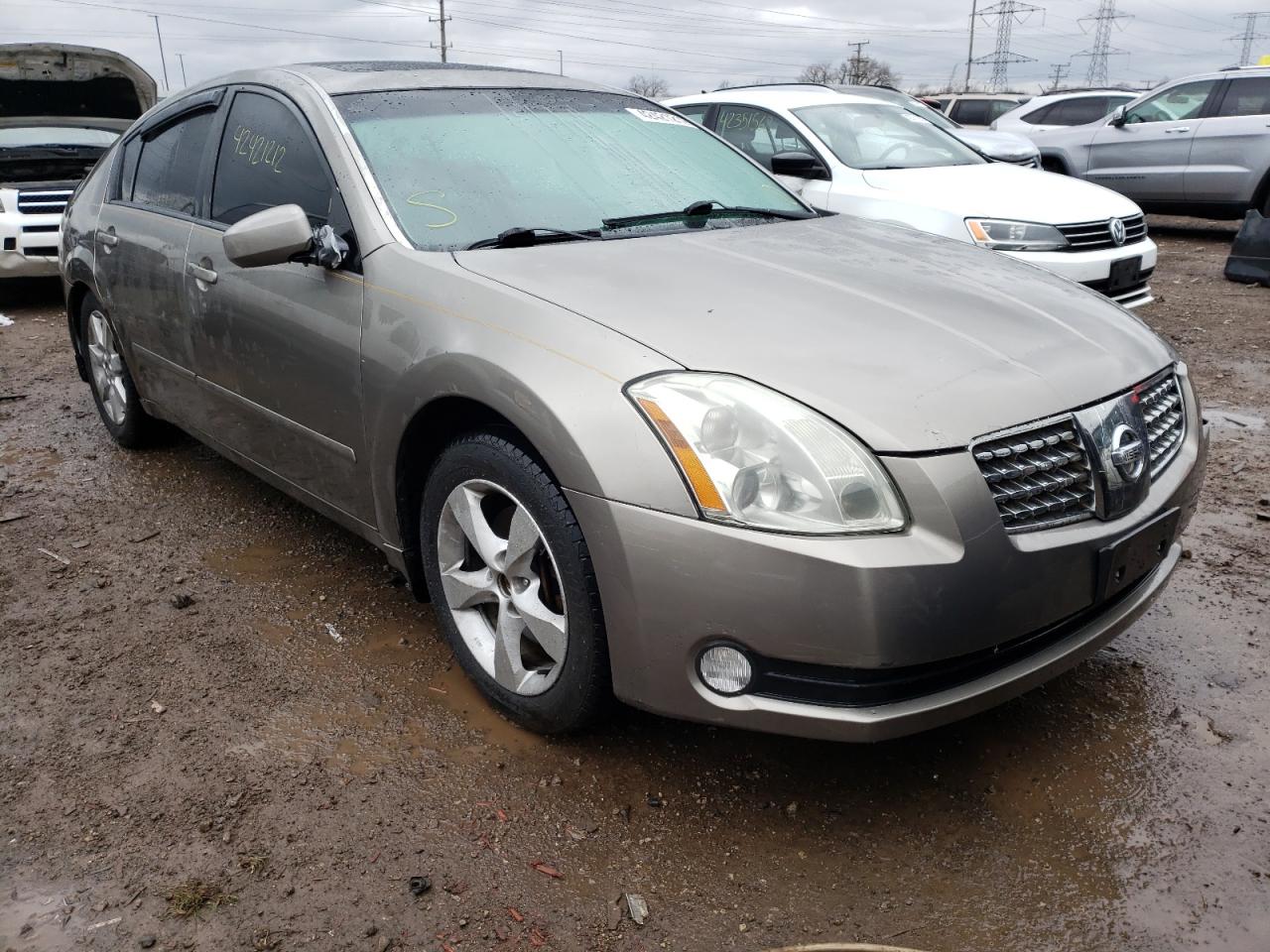 NISSAN MAXIMA SE 2006 with VIN 1N4BA41E66C862448 - Photo from auction