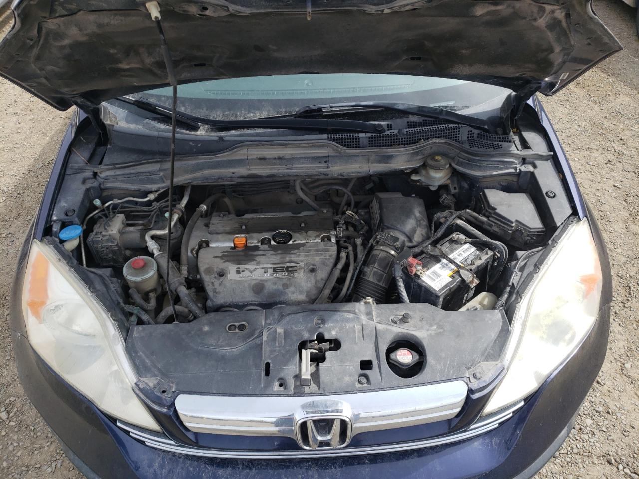 Photo 7 from auction – 2007 HONDA CR-V EX with VIN JHLRE48547C071892