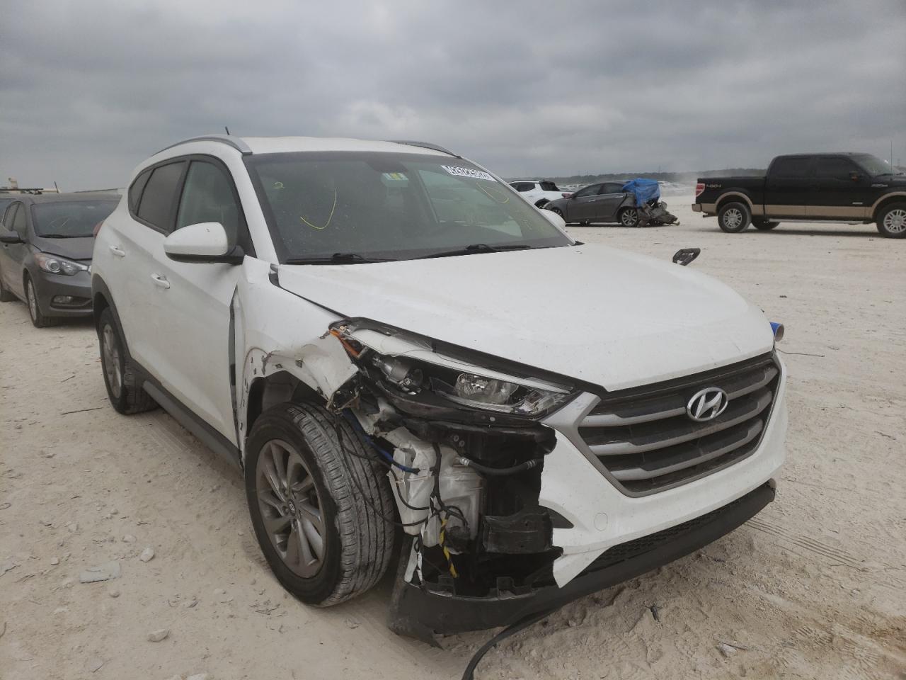 HYUNDAI TUCSON LIM 2017 with VIN KM8J3CA41HU566828 - Photo from auction