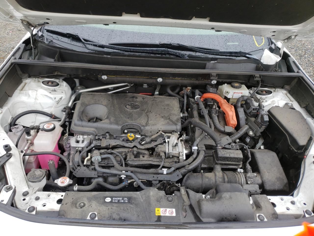 Photo 7 from auction – 2019 TOYOTA RAV4 LE with VIN JTMLWRFV3KD013999