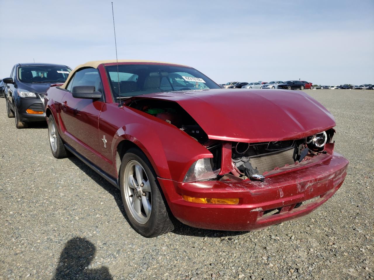 Photo 1 from auction – 2007 FORD MUSTANG with VIN 1ZVFT84N775370653