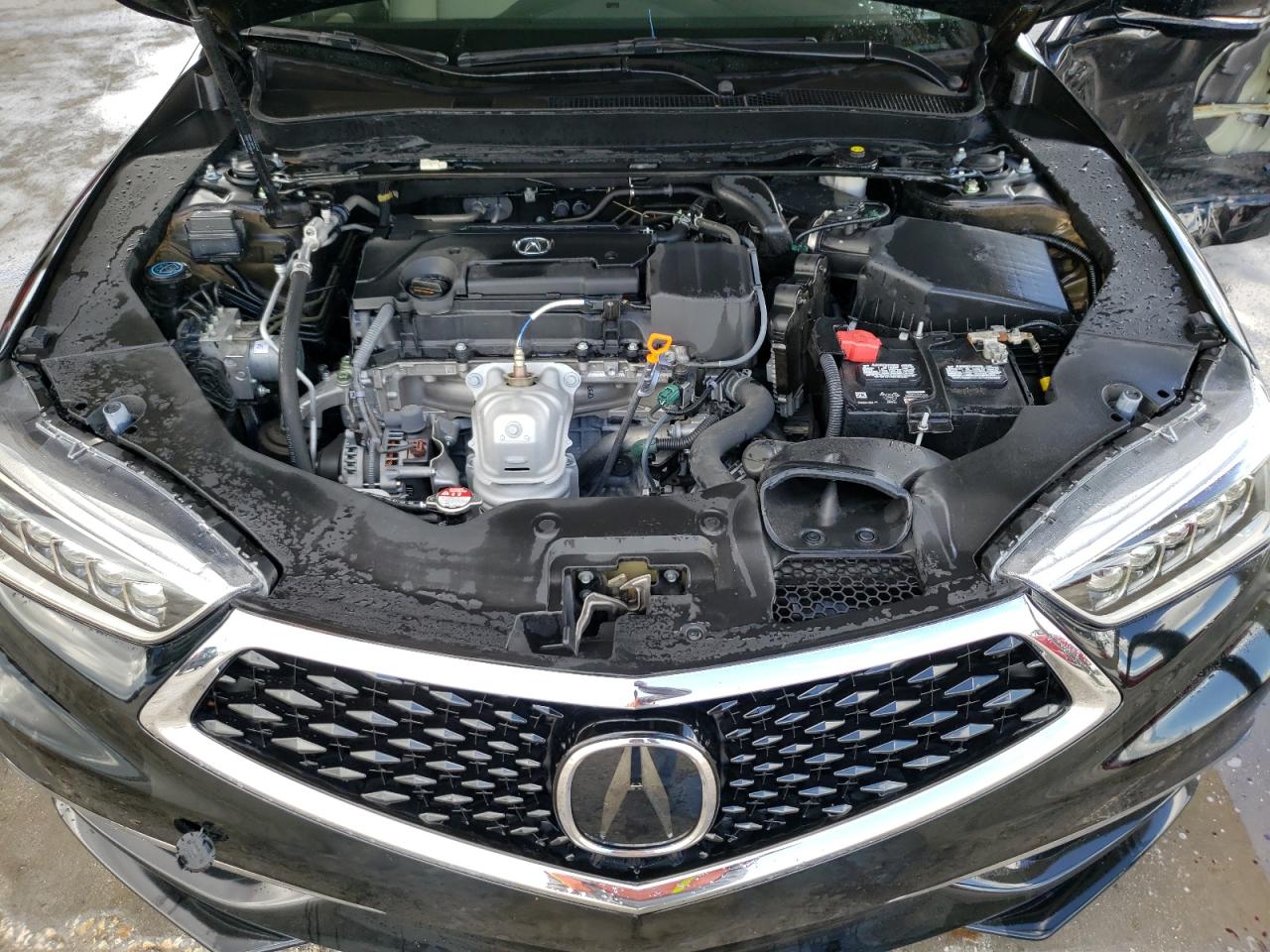 Photo 7 from auction – 2020 ACURA TLX with VIN 19UUB1F32LA009463