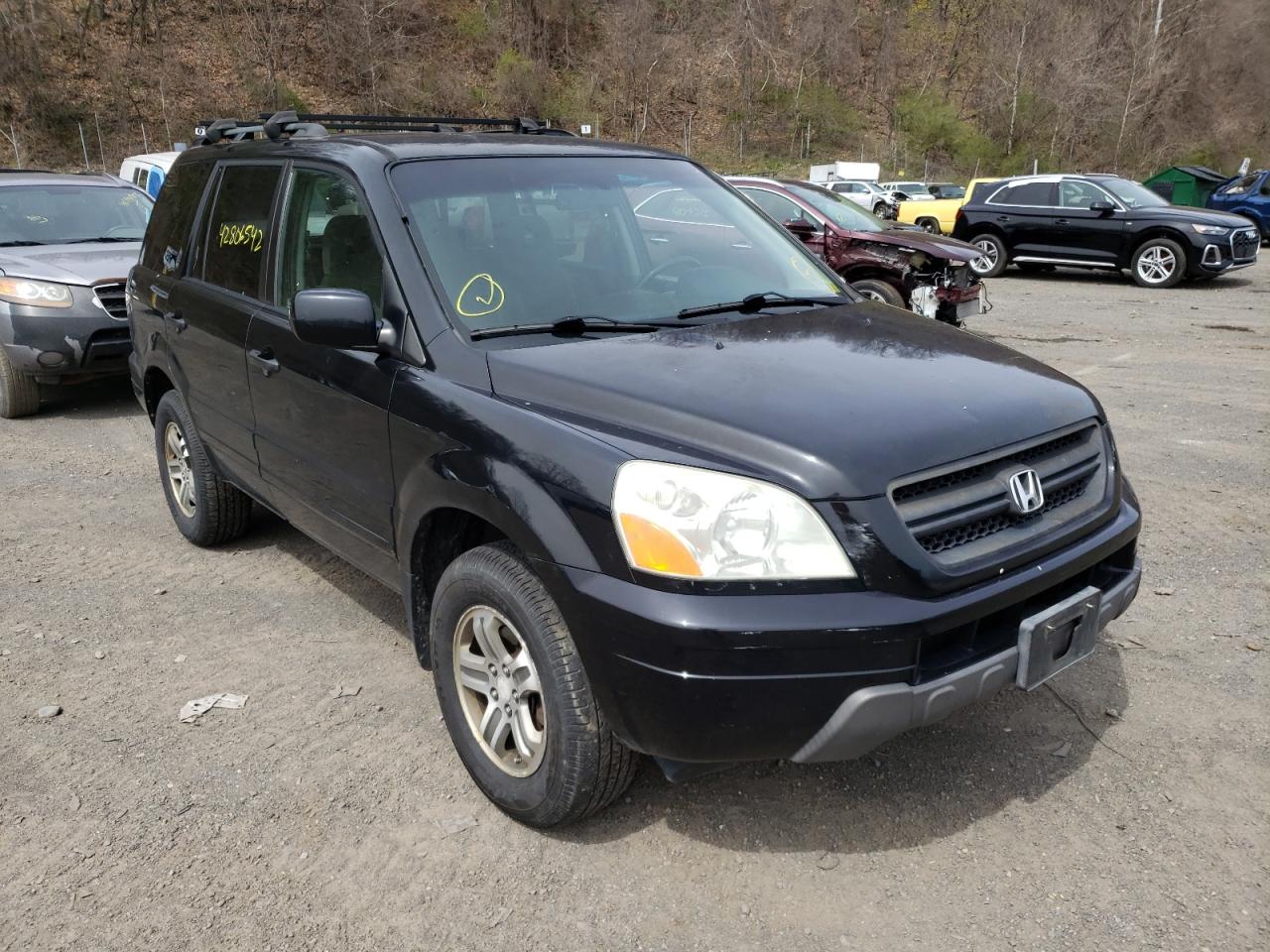 HONDA PILOT EX 2005 with VIN 5FNYF18495B018455 - Photo from auction