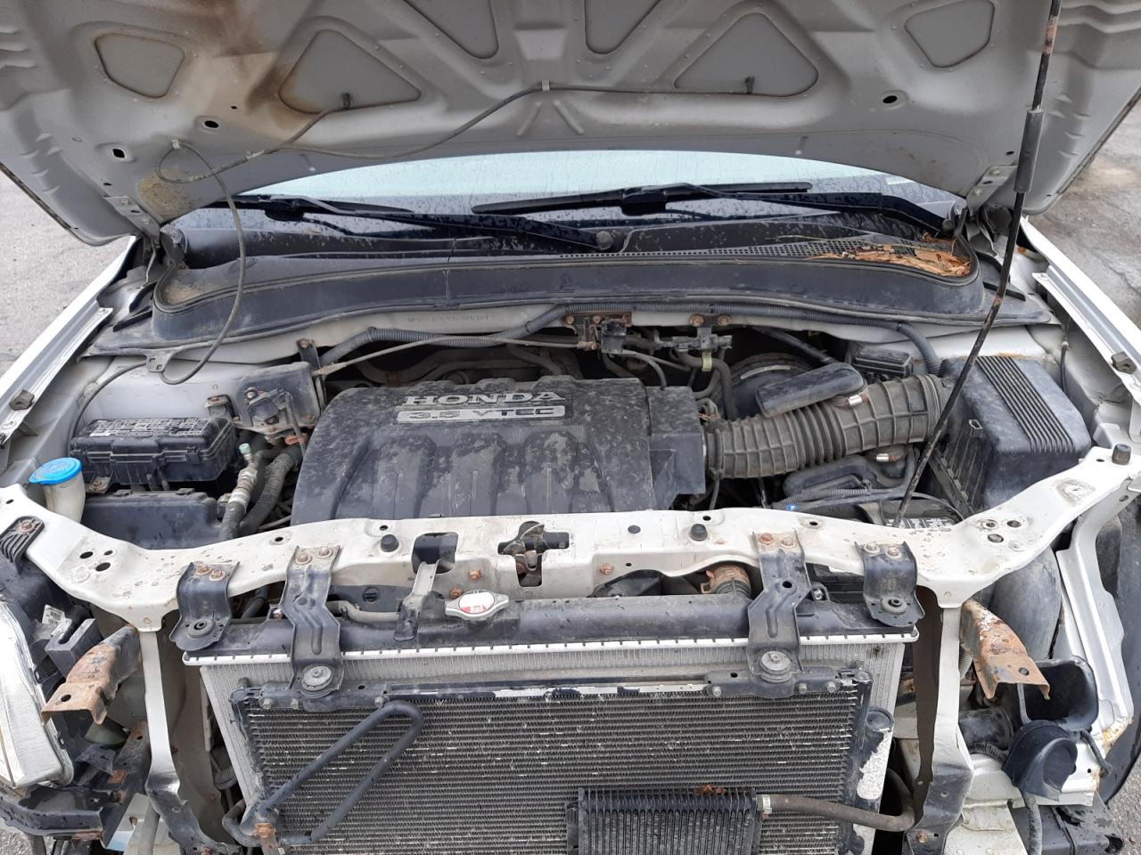 Photo 7 from auction – 2007 HONDA PILOT EXL with VIN 5FNYF18597B025787