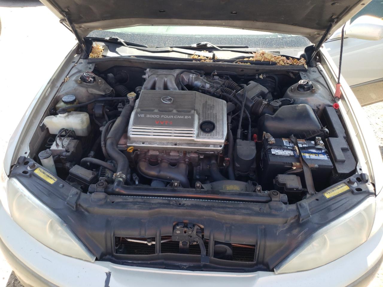 Photo 7 from auction – 2001 LEXUS ES 300 with VIN JT8BF28G910321765