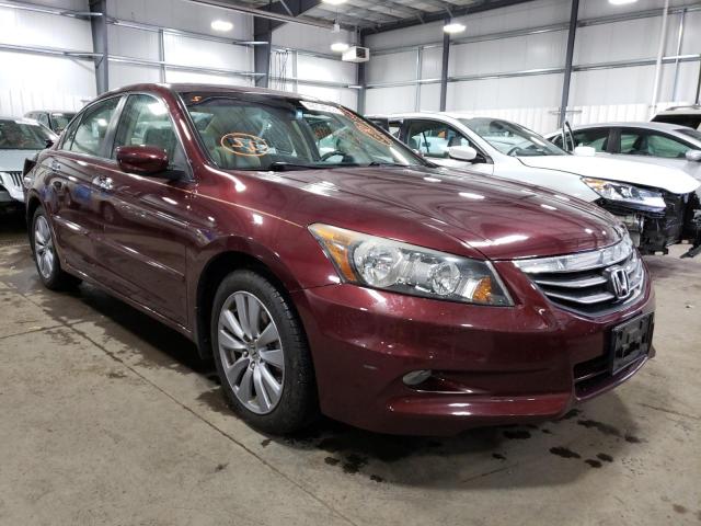 HONDA ACCORD EXL 2011 with VIN 1HGCP3F84BA011606 - Photo from auction