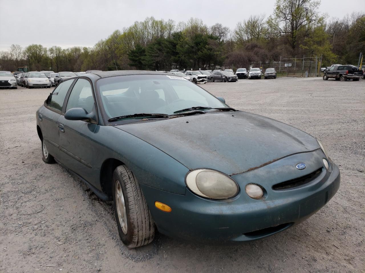 FORD TAURUS GL 1996 with VIN 1FALP52U2TG315955 - Photo from auction
