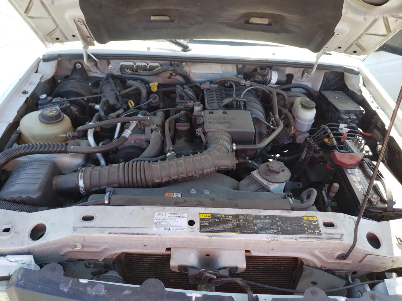 Photo 7 from auction – 2010 FORD RANGER with VIN 1FTKR1AD3APA41043