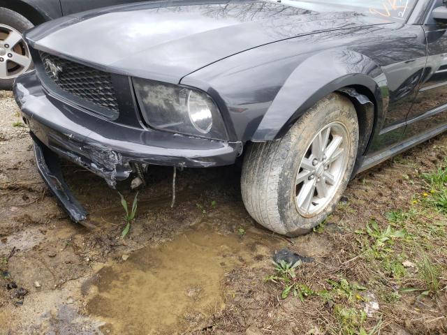 Photo 9 from auction – 2007 FORD MUSTANG with VIN 1ZVFT84N375354594