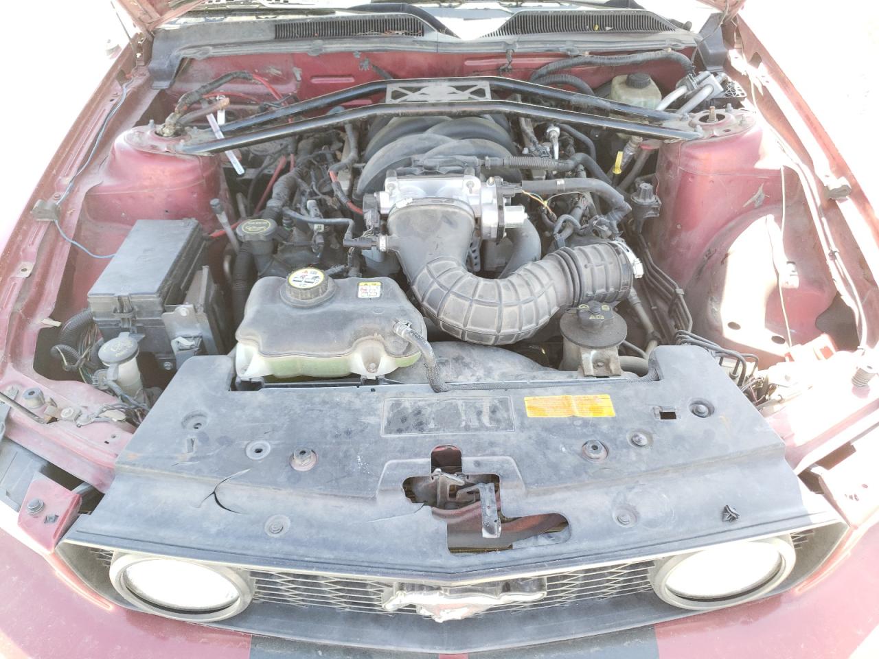 Photo 7 from auction – 2007 FORD MUSTANG with VIN 1ZVFT82H675218232