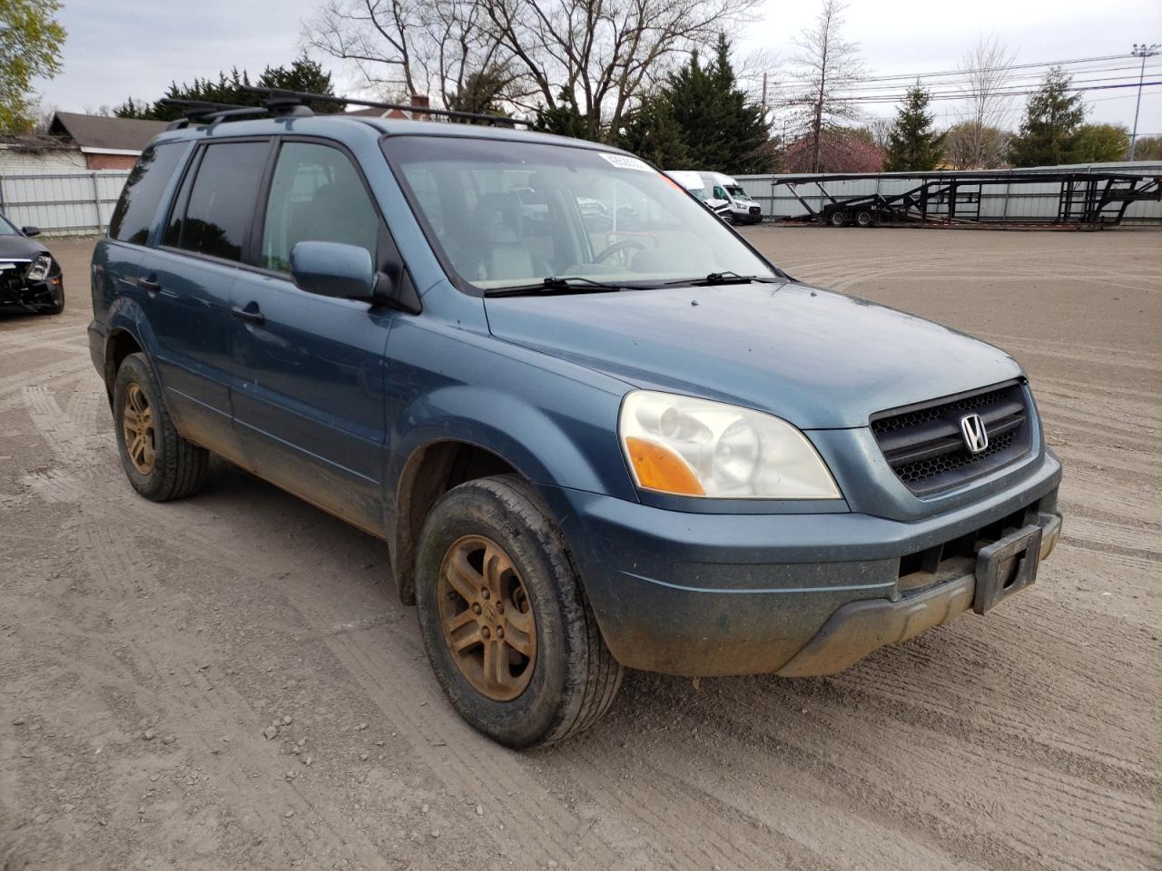 HONDA PILOT EXL 2005 with VIN 2HKYF18665H503946 - Photo from auction