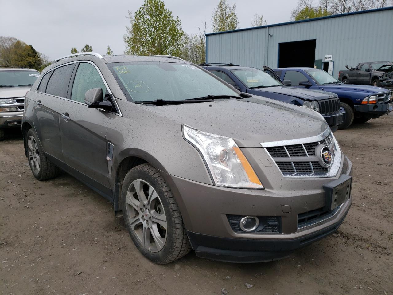 CADILLAC SRX PERFOR 2012 with VIN 3GYFNEE37CS508565 - Photo from auction