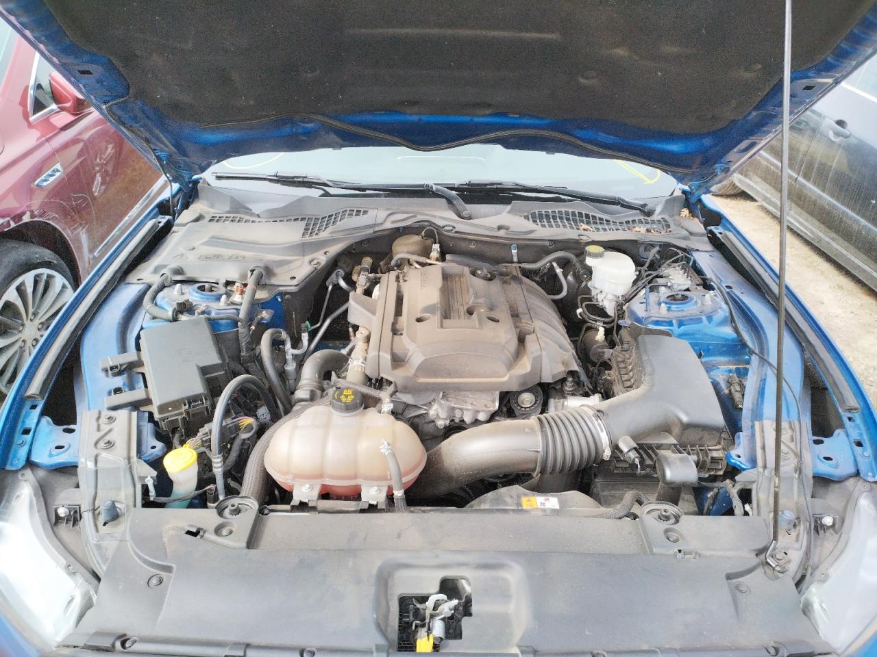 Photo 7 from auction – 2017 FORD MUSTANG with VIN 1FA6P8TH9H5203852