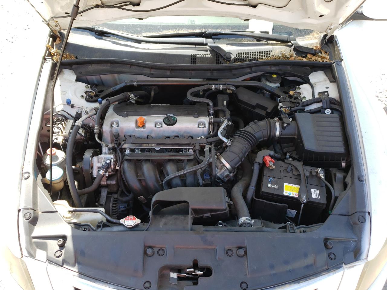 Photo 7 from auction – 2010 HONDA ACCORD EXL with VIN 1HGCP2F85AA092494