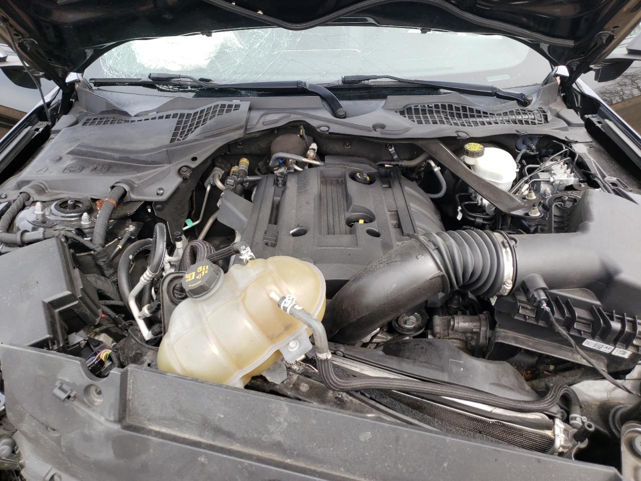 Photo 7 from auction – 2017 FORD MUSTANG with VIN 1FATP8UH2H5245152