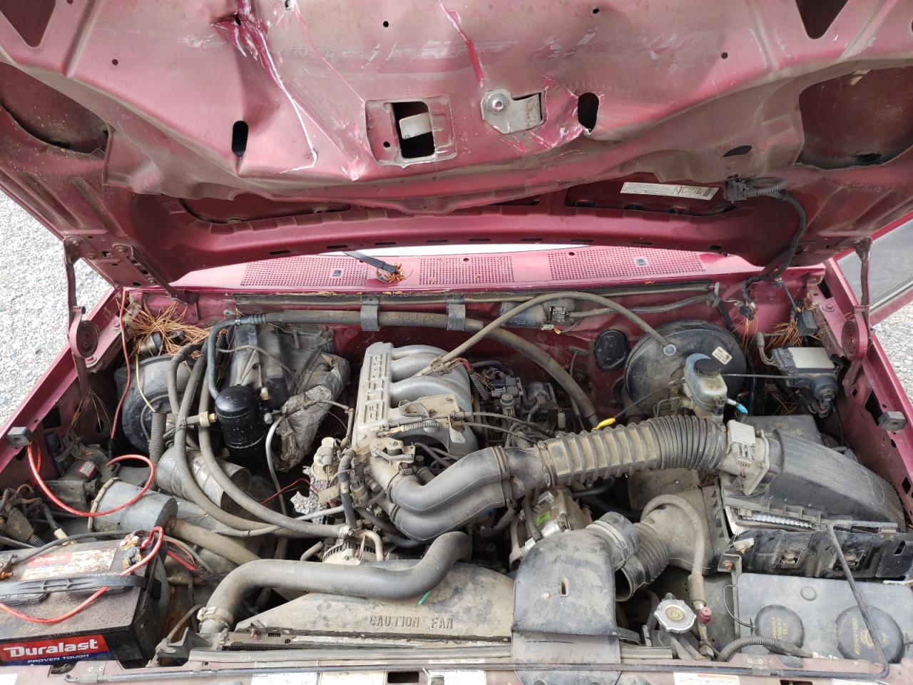 Photo 7 from auction – 1994 FORD F150 with VIN 1FTEF15N5RNA27953